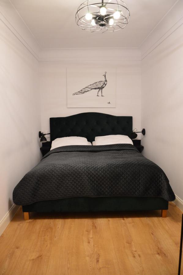 Apartamenty Szeroka 32 Stary Toruń المظهر الخارجي الصورة